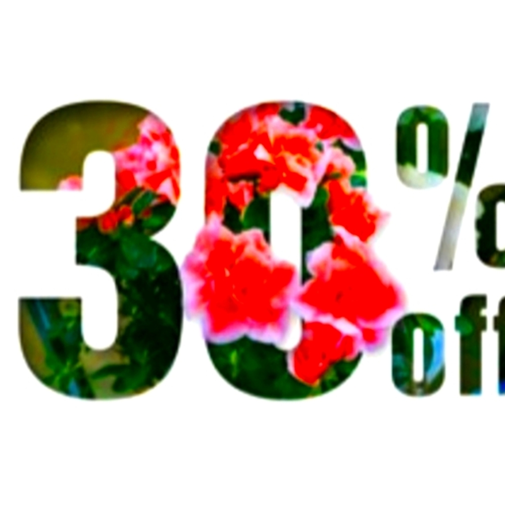 30% off everything!!!!